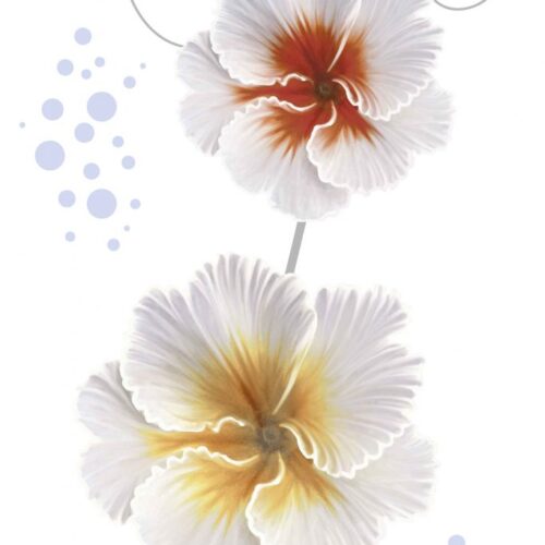 Normal Glossy Wall Tiles (BCL 2358)