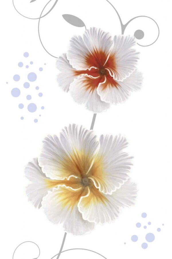 Normal Glossy Wall Tiles (BCL 2358)