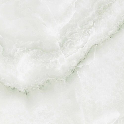 High Glossy Floor Tiles (BCL 4452)