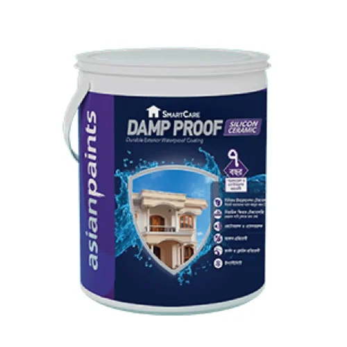 Asian Paints SmartCare Damp Proof Silicon Ceramic 0.91 Ltr.