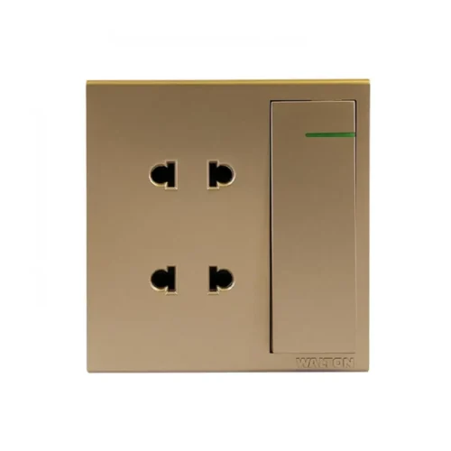 WALTON WT2PSG (GOLD) 2 Pin Socket with Switch