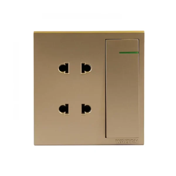 WALTON WT2PSG (GOLD) 2 Pin Socket with Switch