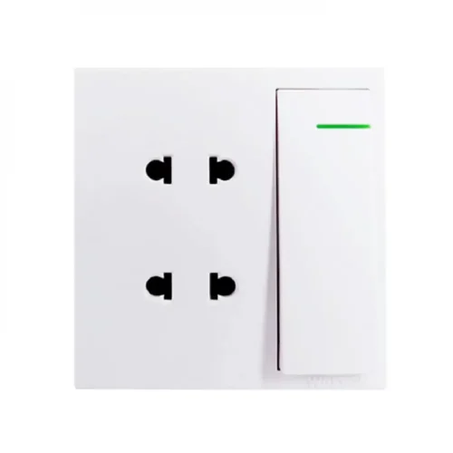 WALTON Trust Series-WT2PSW (White)  2 Pin Socket With Switch