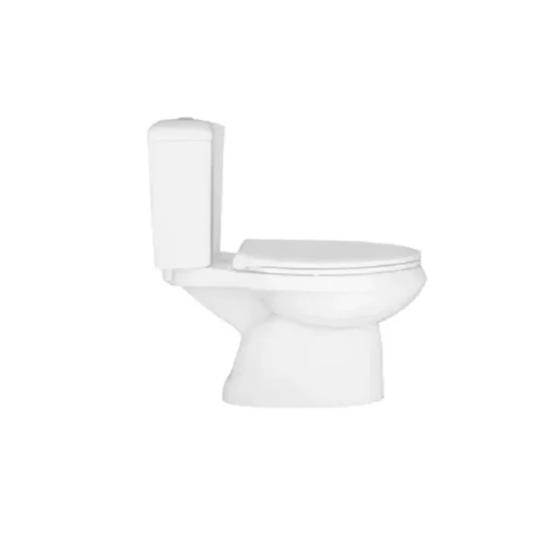Rosa Lea Water Closet with normal close Seat cover - "S" Trap with Dual Flushing Unit