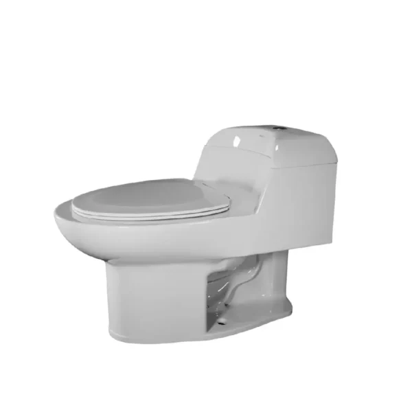 Rosa Rhino Single piece Water Closet